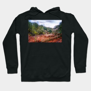 Down by the Stream HDR Hoodie